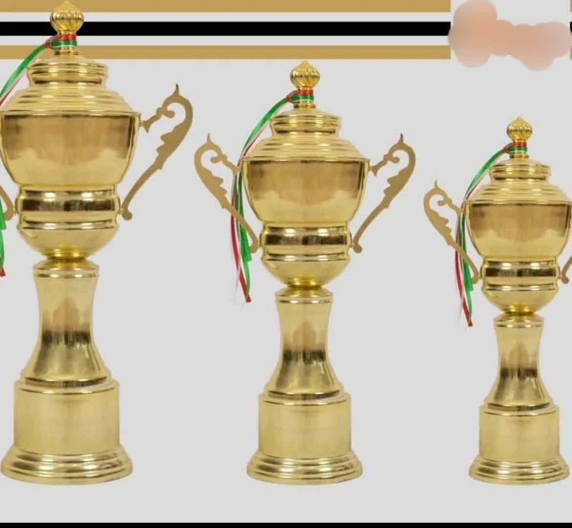 کاپ قهرمانی سه تایی دماوند خارجی اعلا